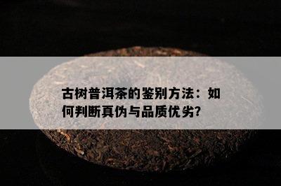 古树普洱茶的鉴别方法：怎样判断真伪与品质优劣？