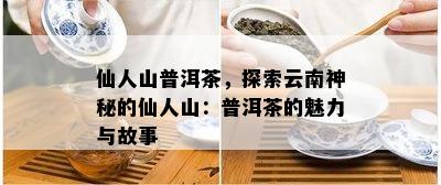 仙人山普洱茶，探索云南神秘的仙人山：普洱茶的魅力与故事