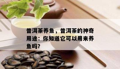 普洱茶养，普洱茶的神奇用途：你知道它可以用来养吗？