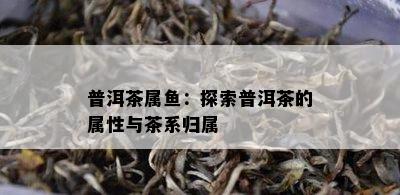 普洱茶属：探索普洱茶的属性与茶系归属