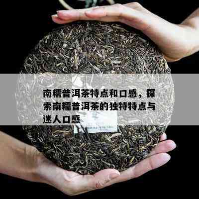 南糯普洱茶特点和口感，探索南糯普洱茶的特别特点与迷人口感