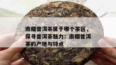 南糯普洱茶属于哪个茶区，探寻普洱茶魅力：南糯普洱茶的产地与特点