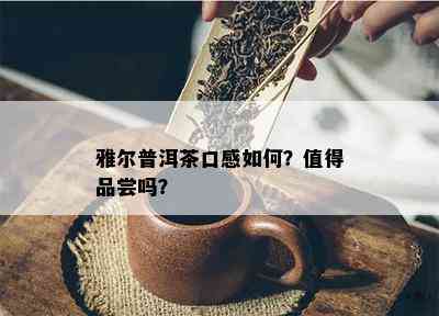 雅尔普洱茶口感怎样？值得品尝吗？