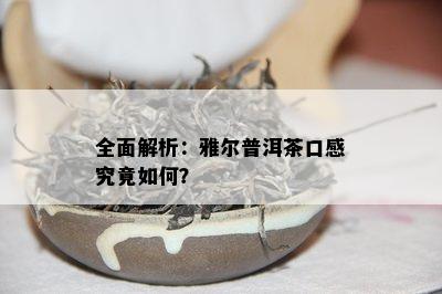 全面解析：雅尔普洱茶口感究竟怎样？