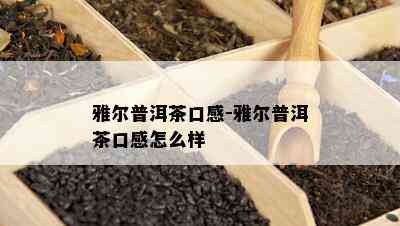 雅尔普洱茶口感-雅尔普洱茶口感怎么样