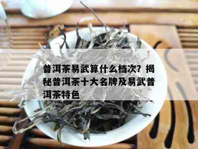 普洱茶易武算什么档次？揭秘普洱茶十大名牌及易武普洱茶特色