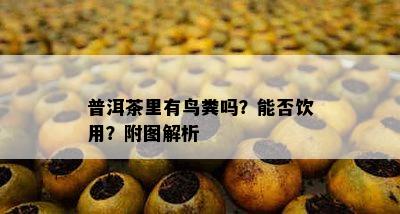 普洱茶里有鸟粪吗？能否饮用？附图解析