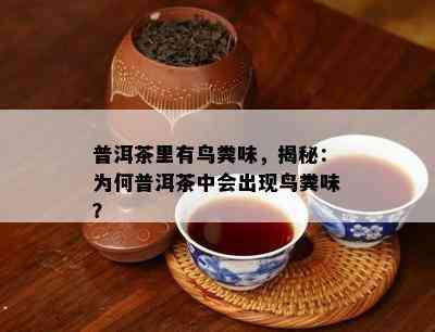 普洱茶里有鸟粪味，揭秘：为何普洱茶中会出现鸟粪味？