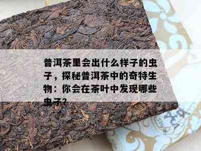 普洱茶里会出什么样子的虫子，探秘普洱茶中的奇特生物：你会在茶叶中发现哪些虫子？