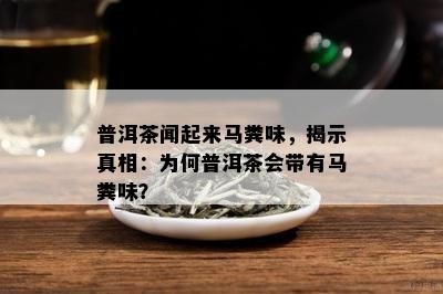 普洱茶闻起来马粪味，揭示真相：为何普洱茶会带有马粪味？