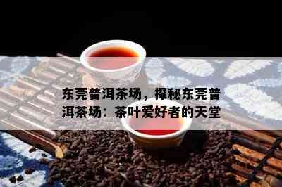 东莞普洱茶场，探秘东莞普洱茶场：茶叶爱好者的天堂