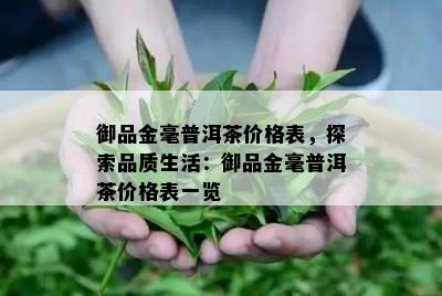 御品金毫普洱茶价格表，探索品质生活：御品金毫普洱茶价格表一览