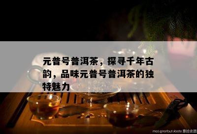 元普号普洱茶，探寻千年古韵，品味元普号普洱茶的独特魅力