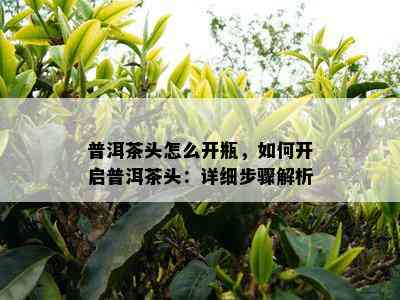 普洱茶头怎么开瓶，怎样开启普洱茶头：详细步骤解析