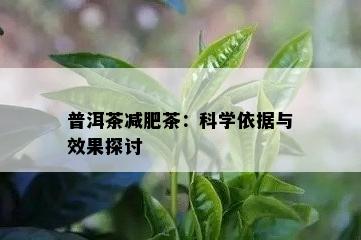 普洱茶减肥茶：科学依据与效果探讨