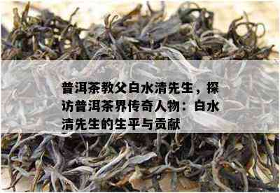 普洱茶教父白水清先生，探访普洱茶界传奇人物：白水清先生的生平与贡献