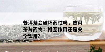 普洱茶会破坏性吗，普洱茶与物：相互作用还是安全饮用？