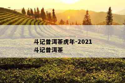 斗记普洱茶虎年-2021斗记普洱茶