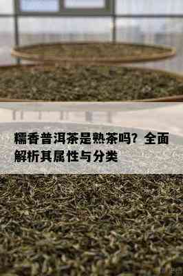 糯香普洱茶是熟茶吗？全面解析其属性与分类