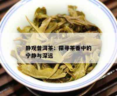 静观普洱茶：探寻茶香中的宁静与深远