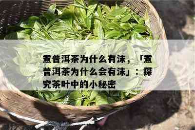 煮普洱茶为什么有沫，「煮普洱茶为什么会有沫」：探究茶叶中的小秘密