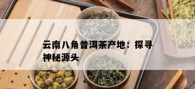 云南八角普洱茶产地：探寻神秘源头