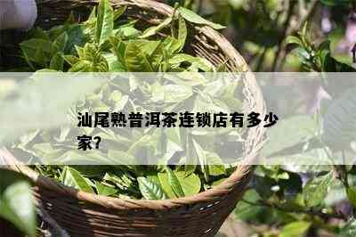 汕尾熟普洱茶连锁店有多少家？