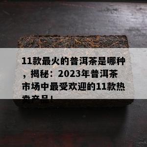 11款最火的普洱茶是哪种，揭秘：2023年普洱茶市场中更受欢迎的11款热卖产品！