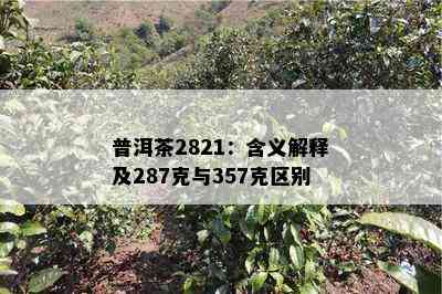 普洱茶2821：含义解释及287克与357克区别