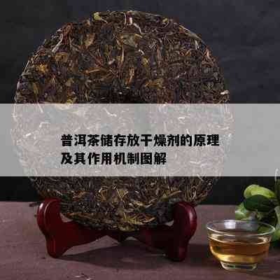 普洱茶储存放干燥剂的原理及其作用机制图解