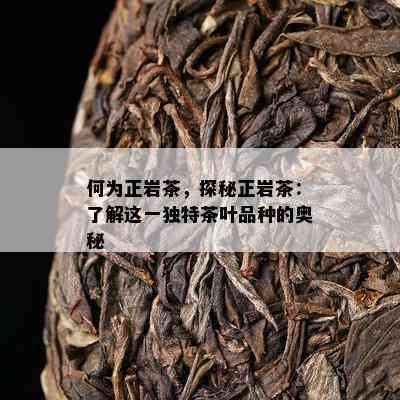 何为正岩茶，探秘正岩茶：了解这一独特茶叶品种的奥秘