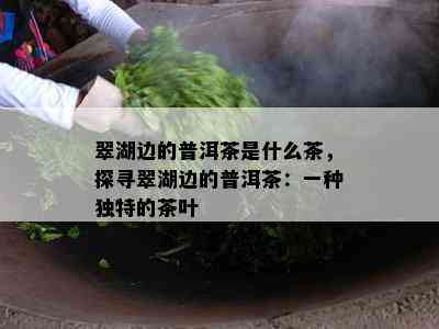 翠湖边的普洱茶是什么茶，探寻翠湖边的普洱茶：一种特别的茶叶