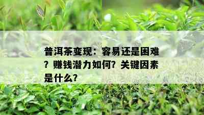 普洱茶变现：容易还是困难？赚钱潜力怎样？关键因素是什么？