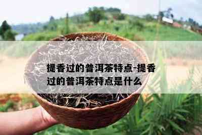 提香过的普洱茶特点-提香过的普洱茶特点是什么