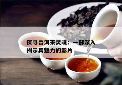 探寻普洱茶灵魂：一部深入揭示其魅力的影片