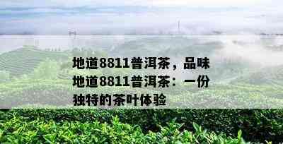 地道8811普洱茶，品味地道8811普洱茶：一份特别的茶叶体验