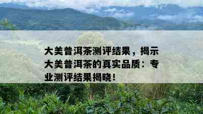 大美普洱茶测评结果，揭示大美普洱茶的真实品质：专业测评结果揭晓！