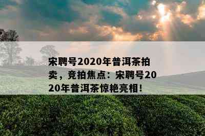 宋聘号2020年普洱茶拍卖，竞拍焦点：宋聘号2020年普洱茶惊艳亮相！