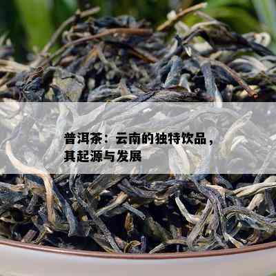 普洱茶：云南的特别饮品，其起源与发展