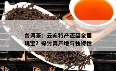 普洱茶：云南特产还是全国瑰宝？探讨其产地与特别性