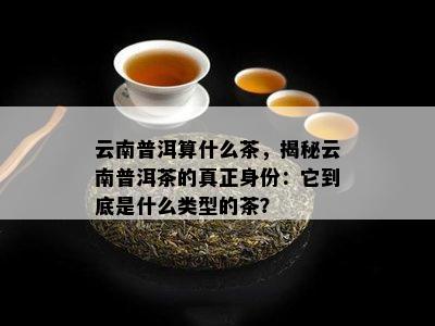 云南普洱算什么茶，揭秘云南普洱茶的真正身份：它到底是什么类型的茶？