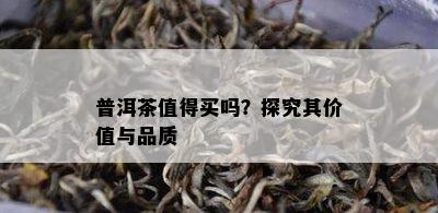 普洱茶值得买吗？探究其价值与品质