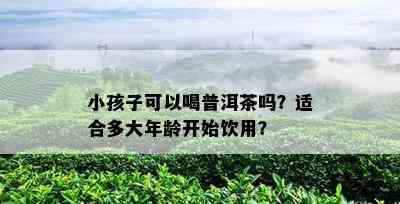 小孩子可以喝普洱茶吗？适合多大年龄开始饮用？