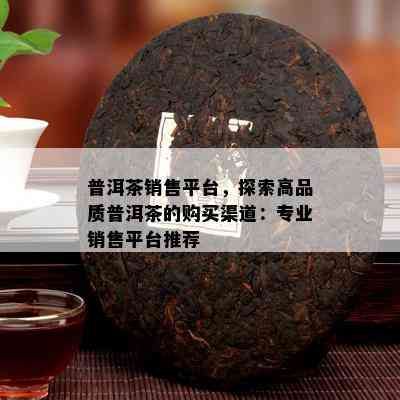 普洱茶销售平台，探索高品质普洱茶的购买渠道：专业销售平台推荐