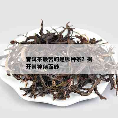 普洱茶最苦的是哪种茶？揭开其神秘面纱