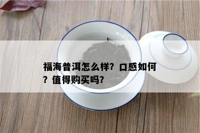 福海普洱怎么样？口感怎样？值得购买吗？