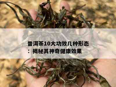 普洱茶10大功效几种形态：揭秘其神奇健康效果