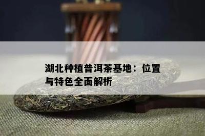 湖北种植普洱茶基地：位置与特色全面解析