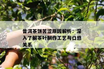 普洱茶饼苦涩原因解析：深入了解茶叶制作工艺与口感关系