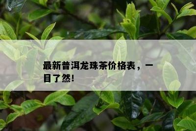 最新普洱龙珠茶价格表，一目了然！